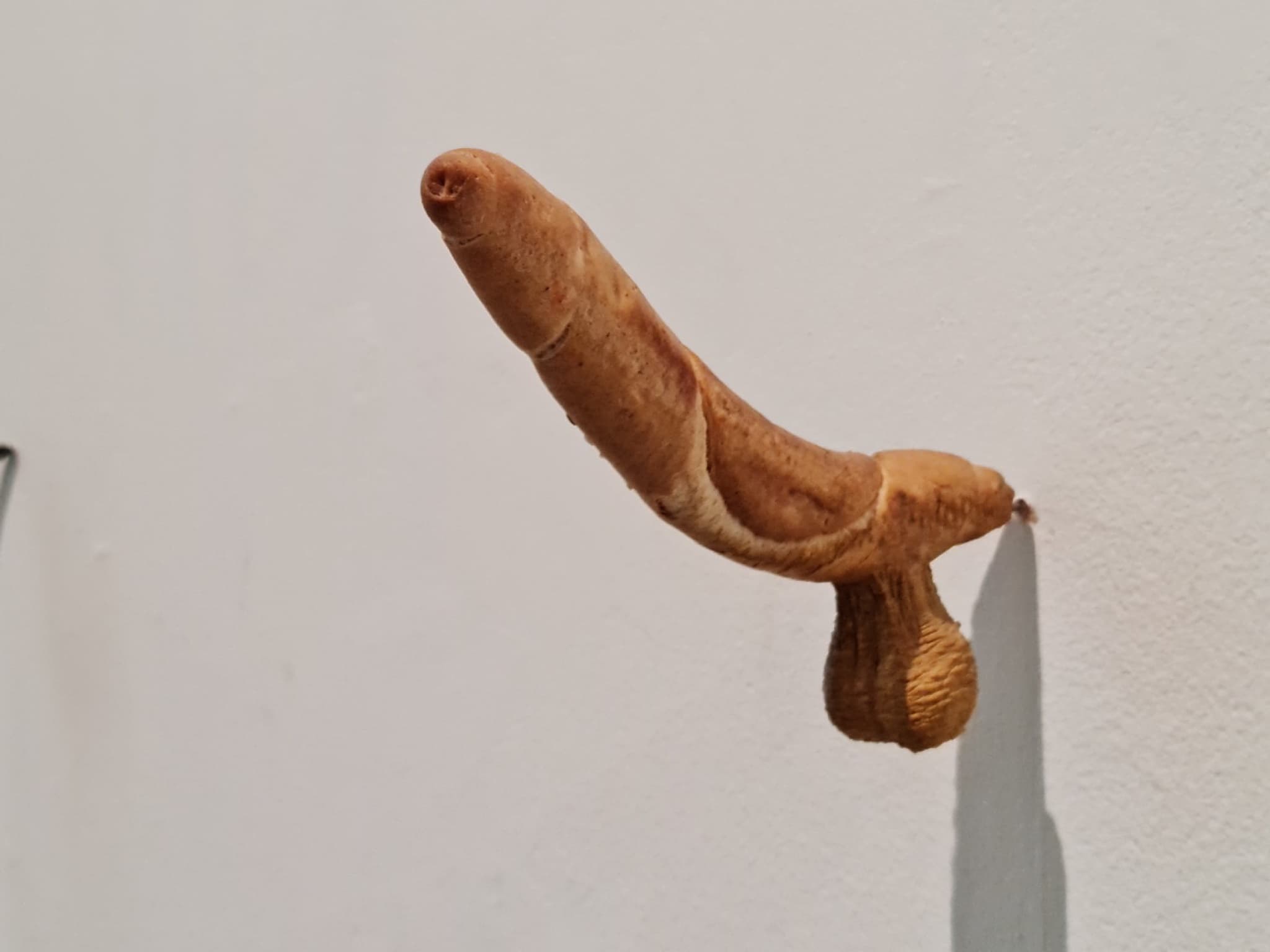 Origins of the End of the World