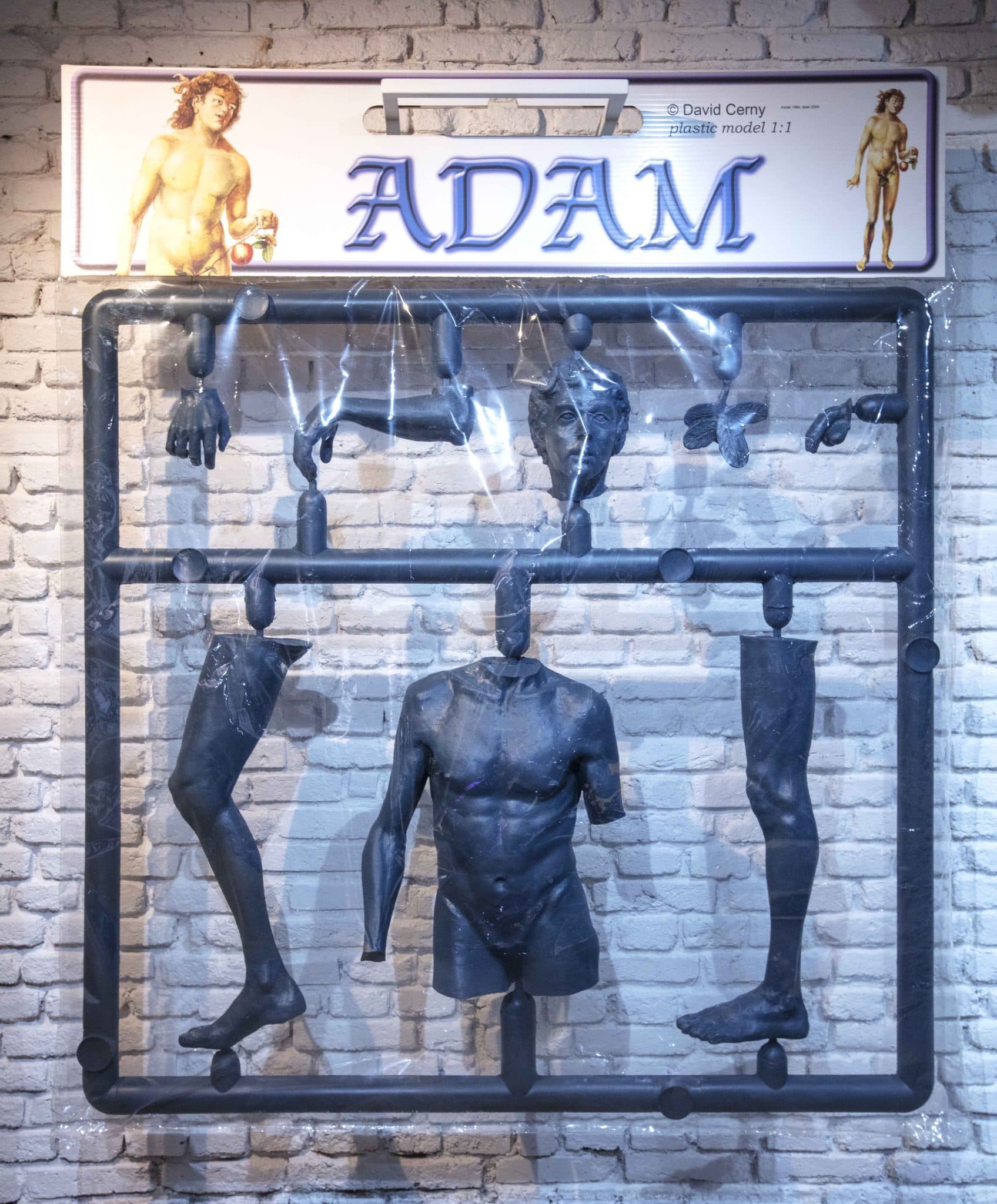 Adam
