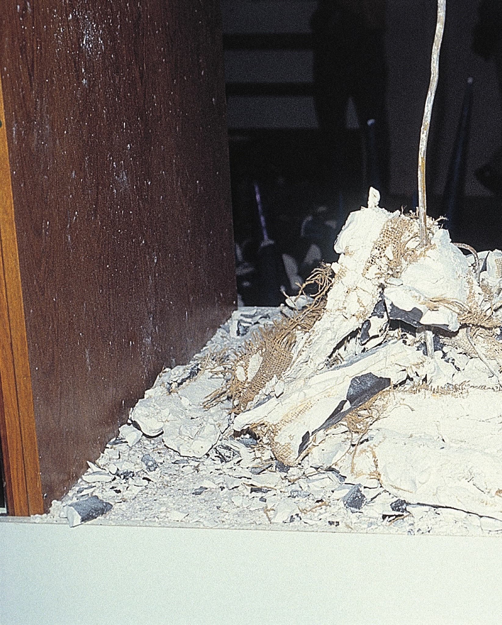 Exhibition for the Meanest Instincts — gallery image 10
