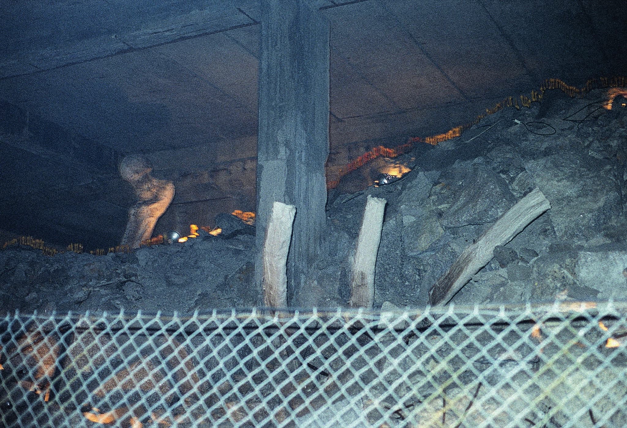 Skull — gallery image 2