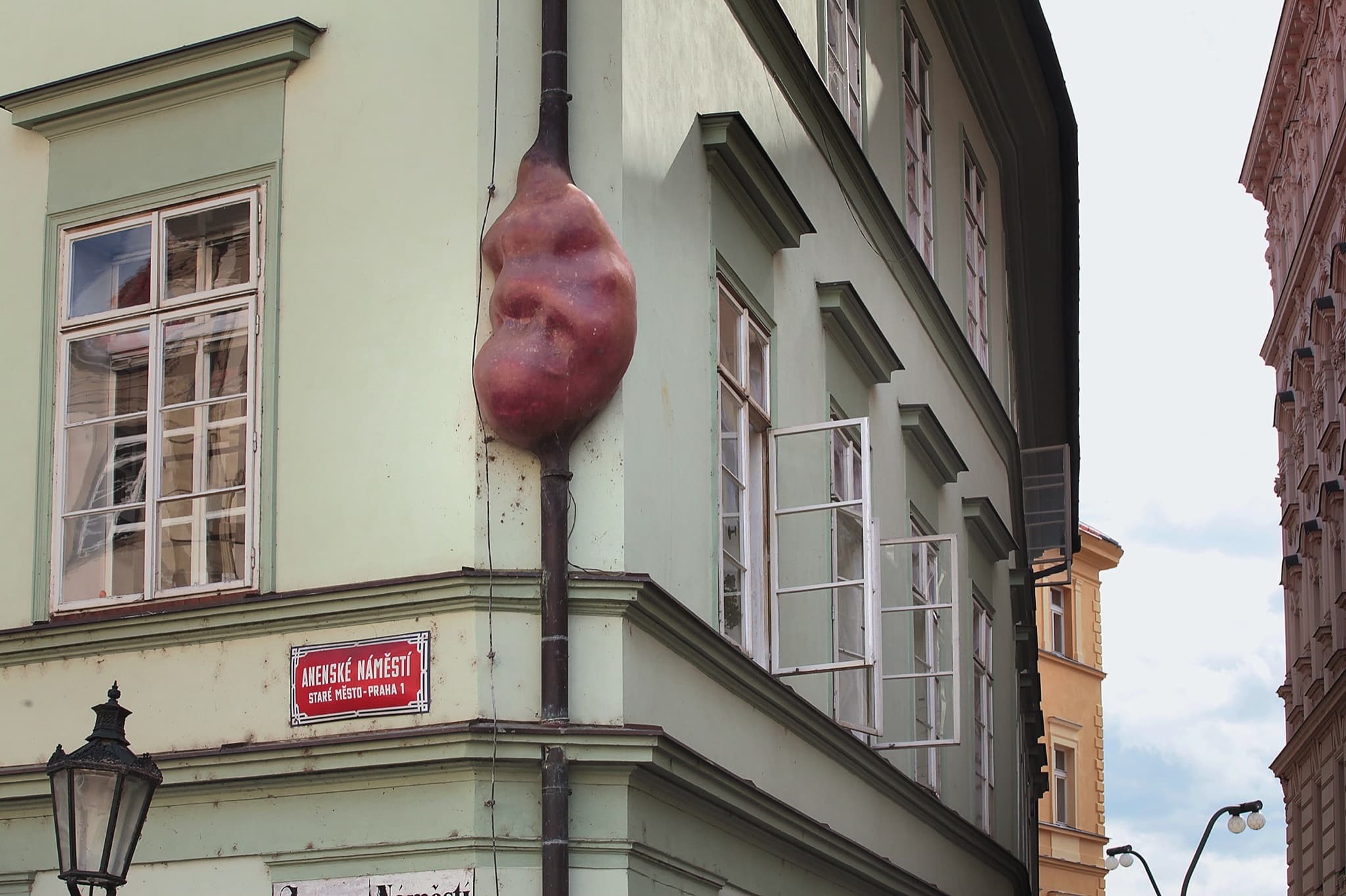 Embryo — gallery