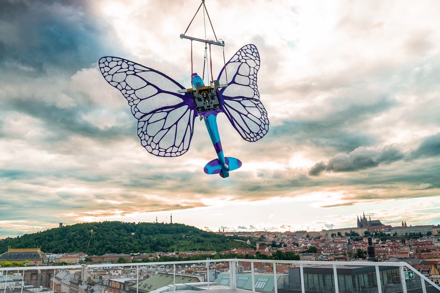 Butterfly Effect — gallery image 5