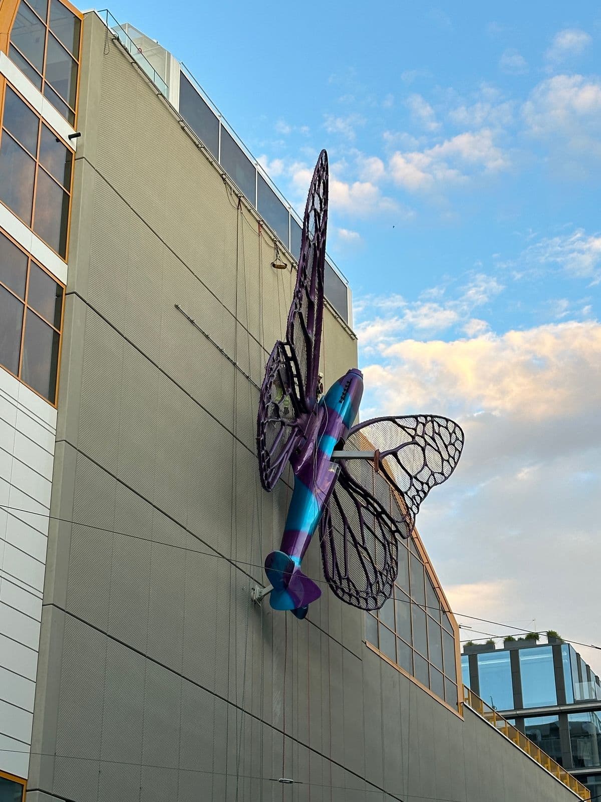 Butterfly Effect — gallery image 4
