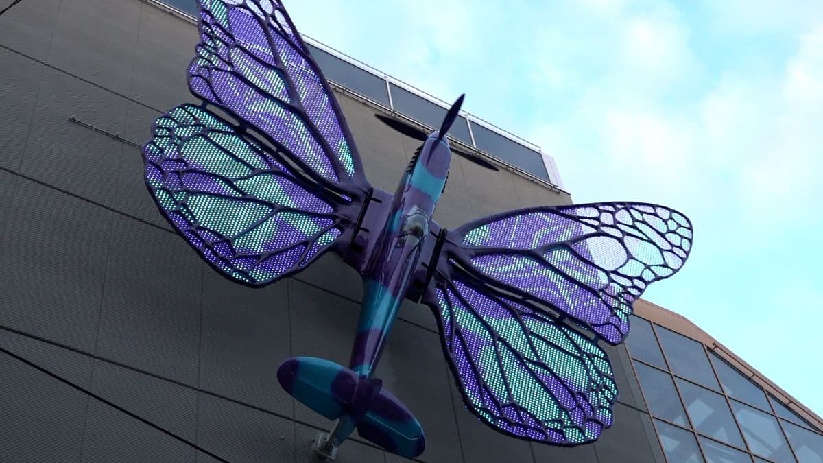 Butterfly Effect — gallery image 6