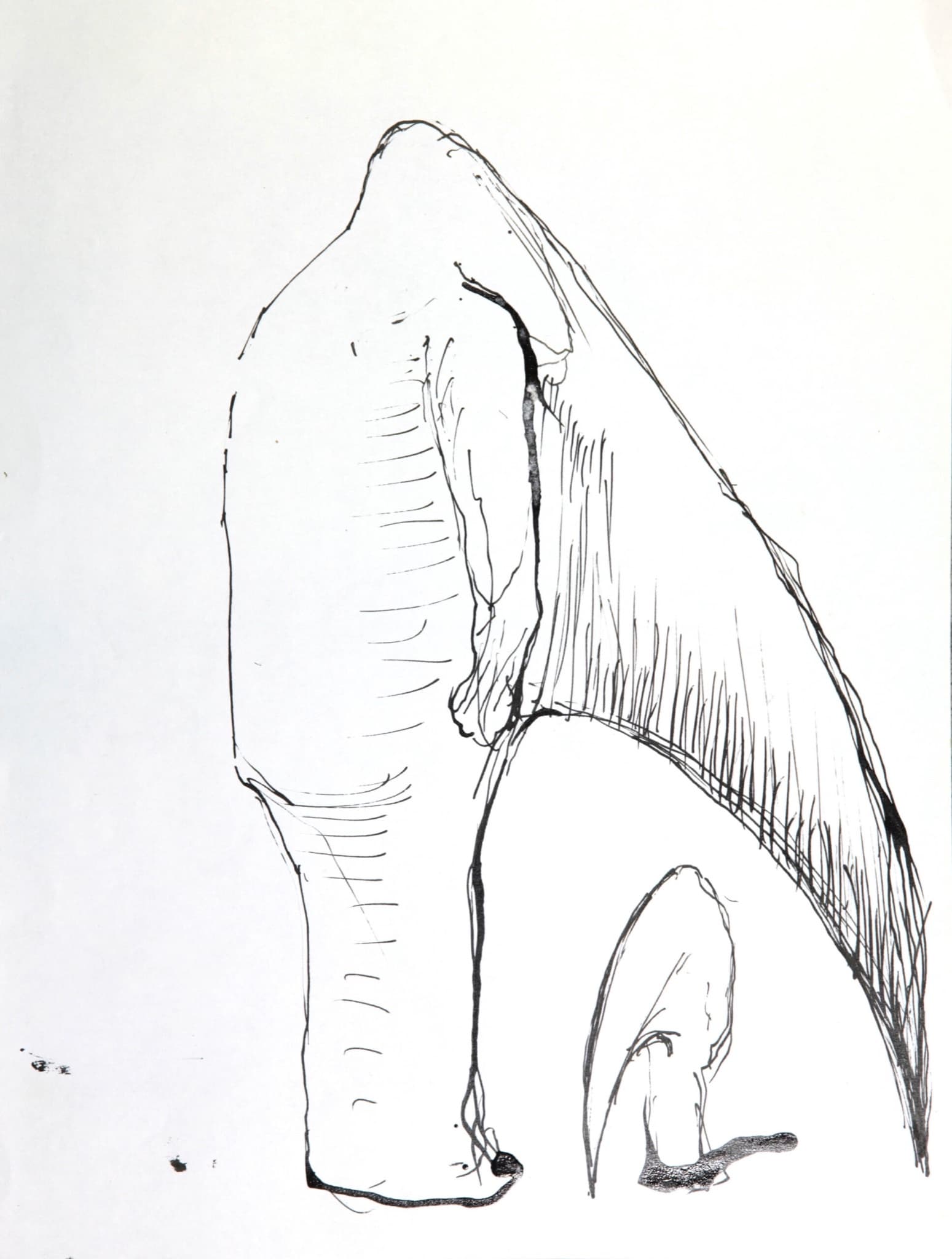 XXII.
