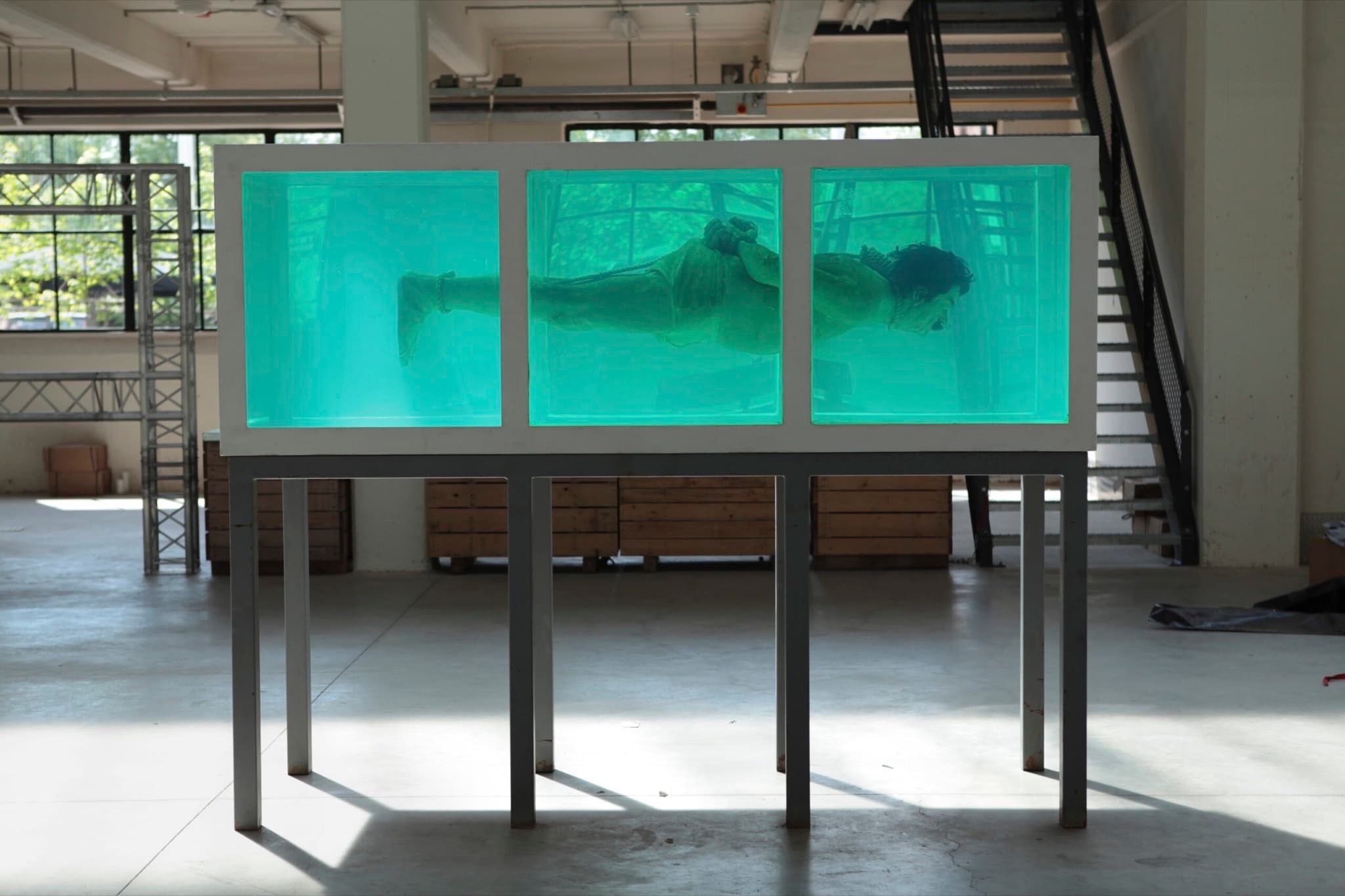Shark — gallery image 2