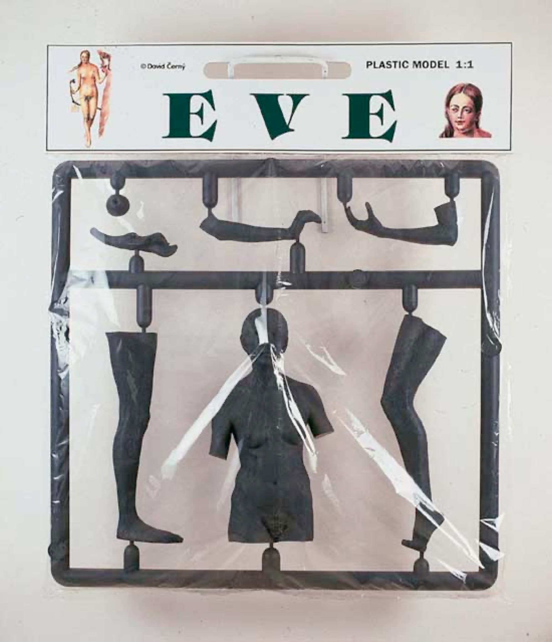 Eve