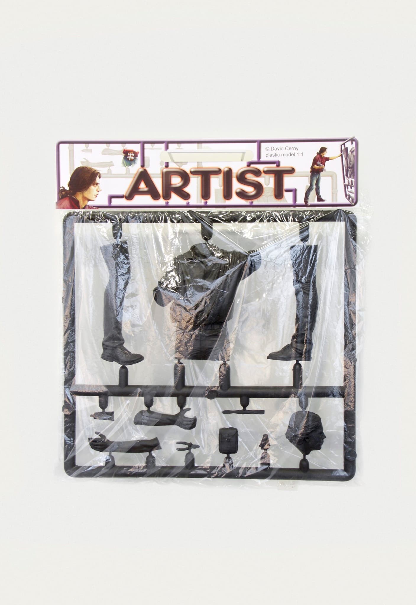 Artist