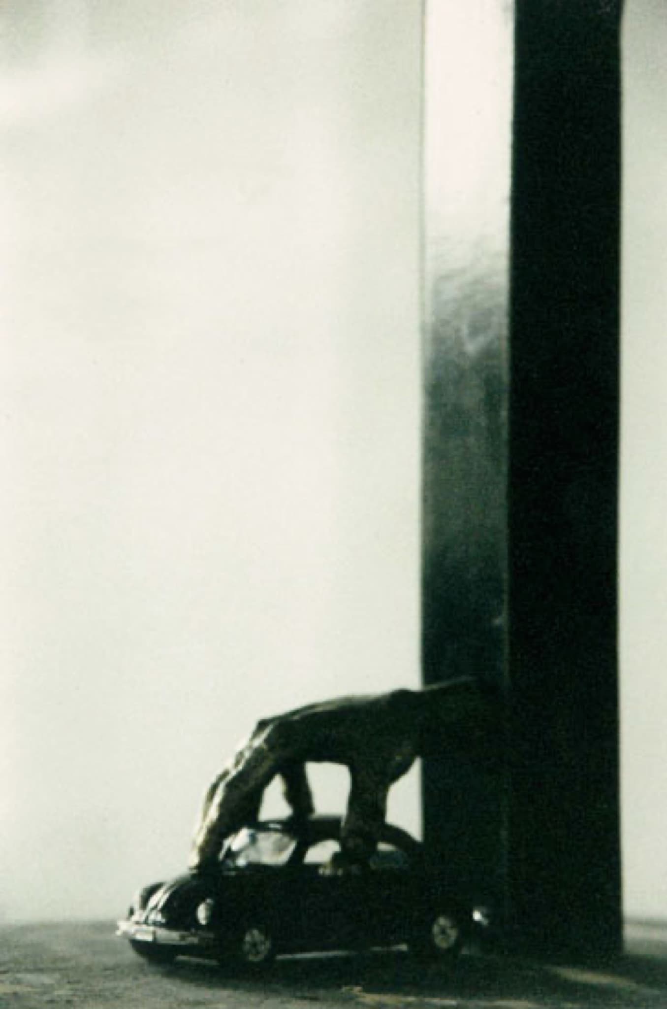 Column — gallery image 1