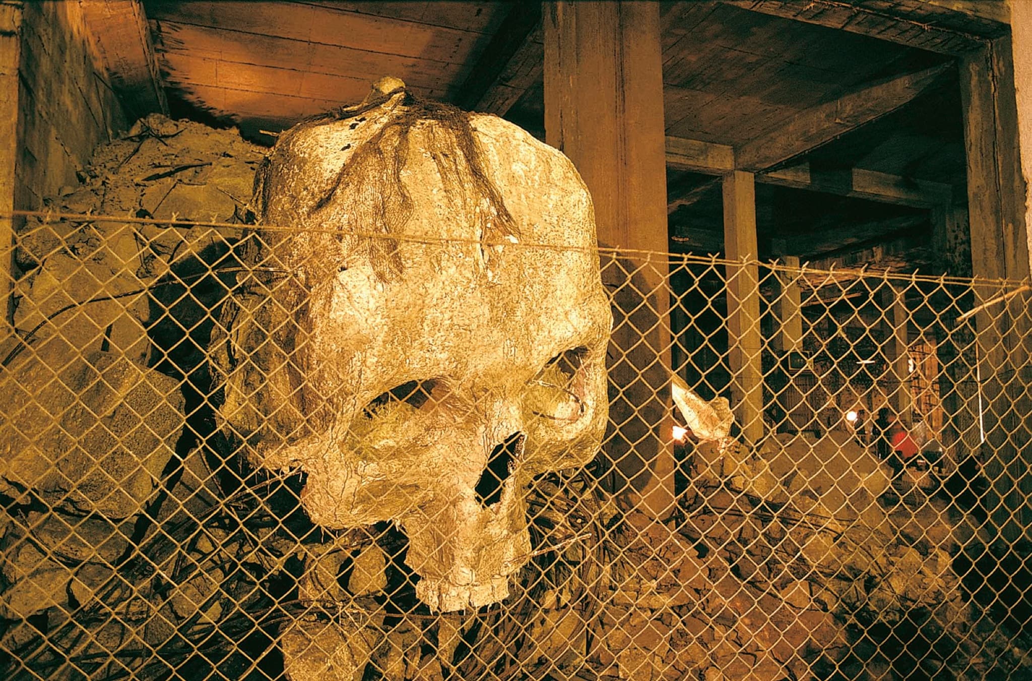Skull — gallery image 4